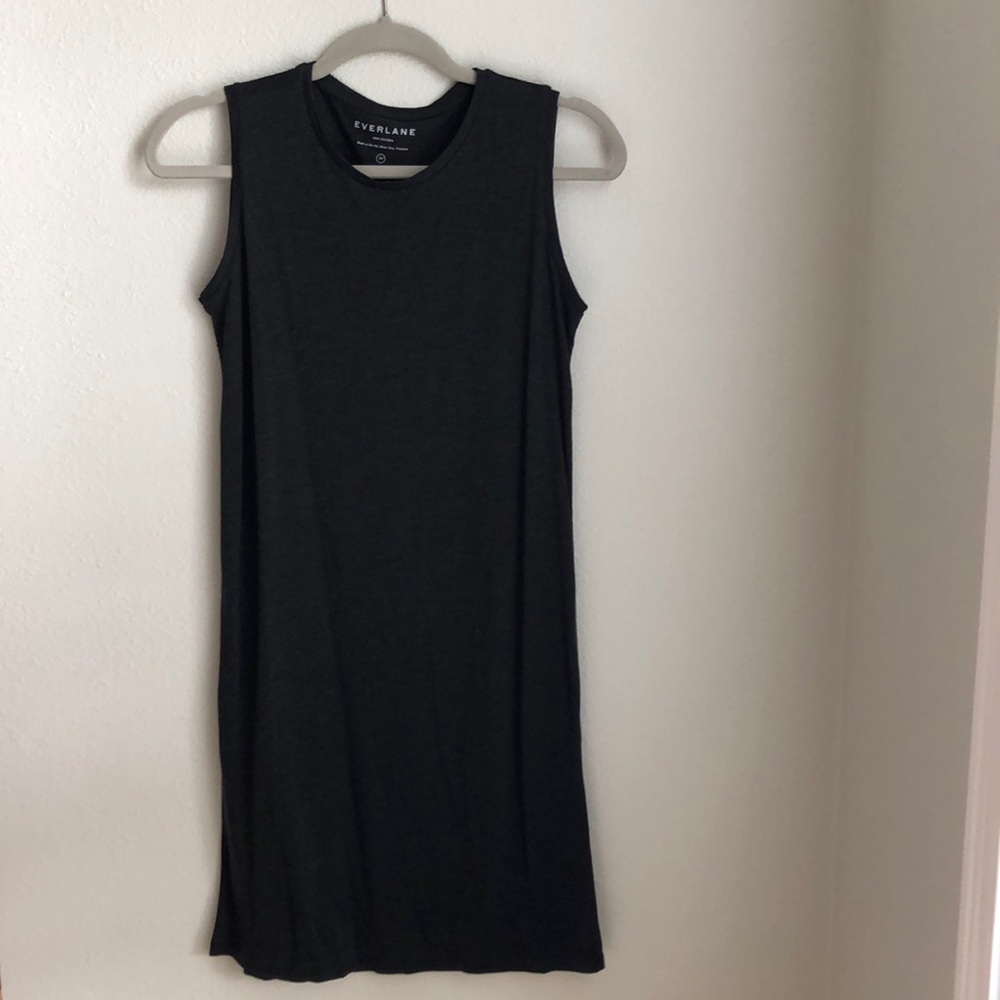 NEVER WORN Everlane Dress! XS